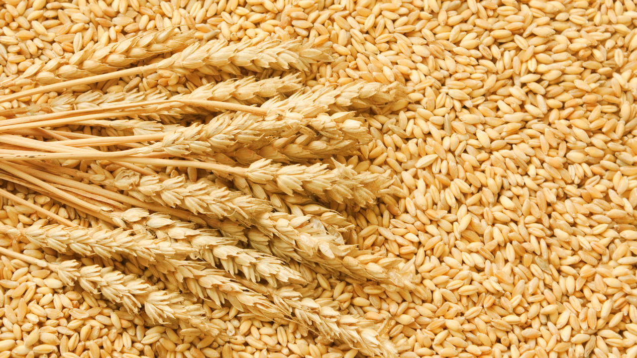Grains